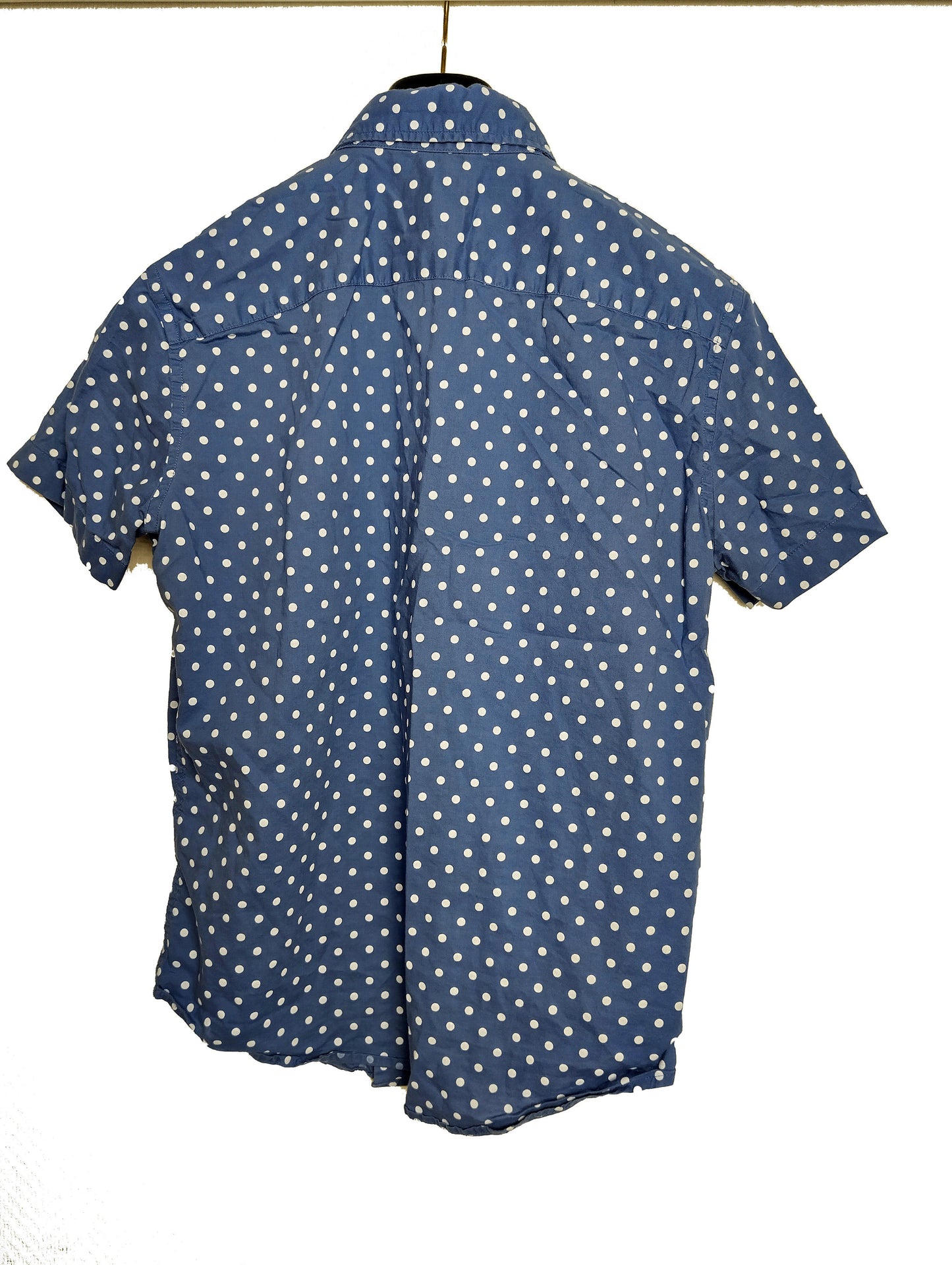 Back view of a blue polka dot shirt