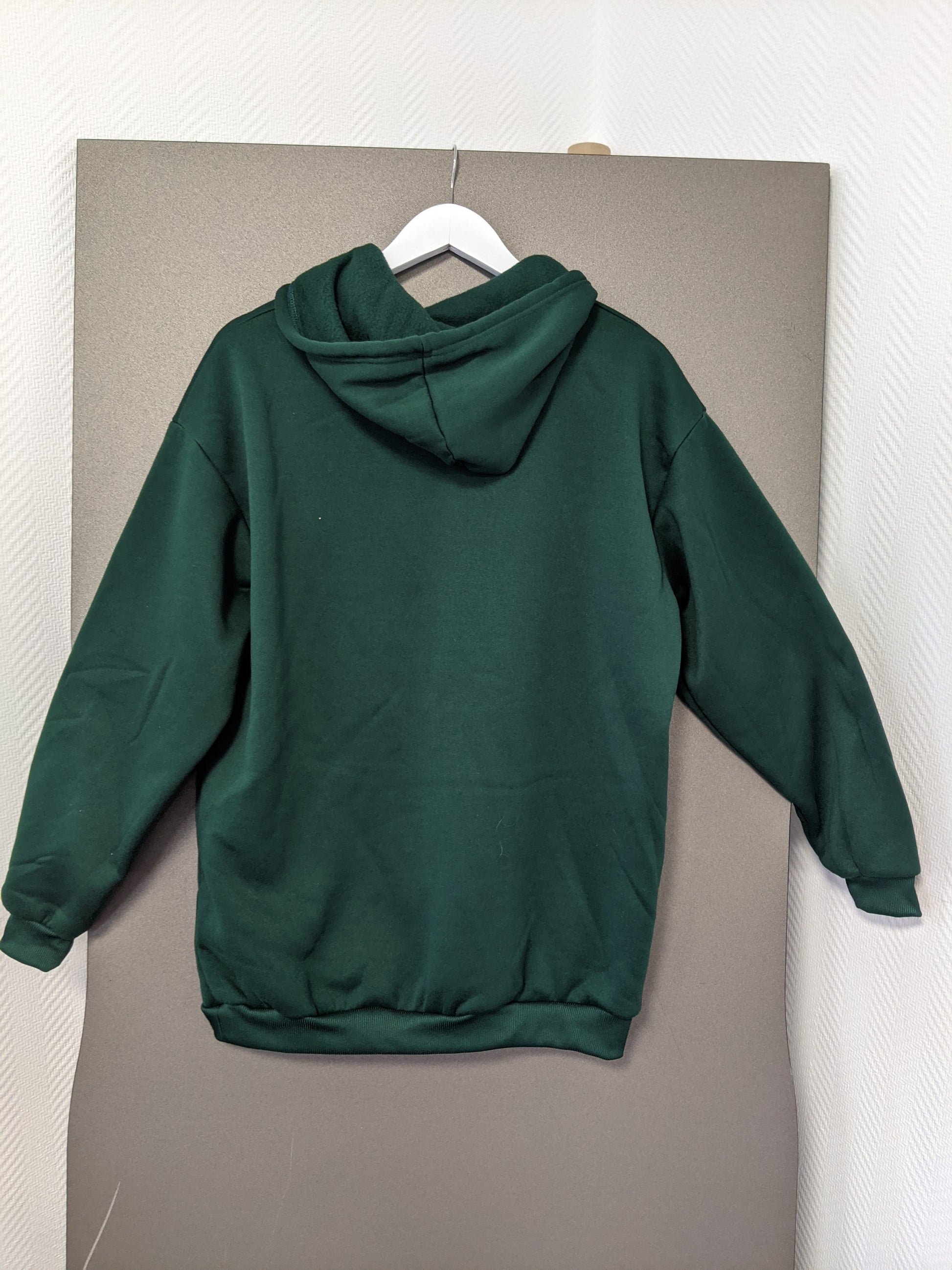 Back view of green hoodie on hanger