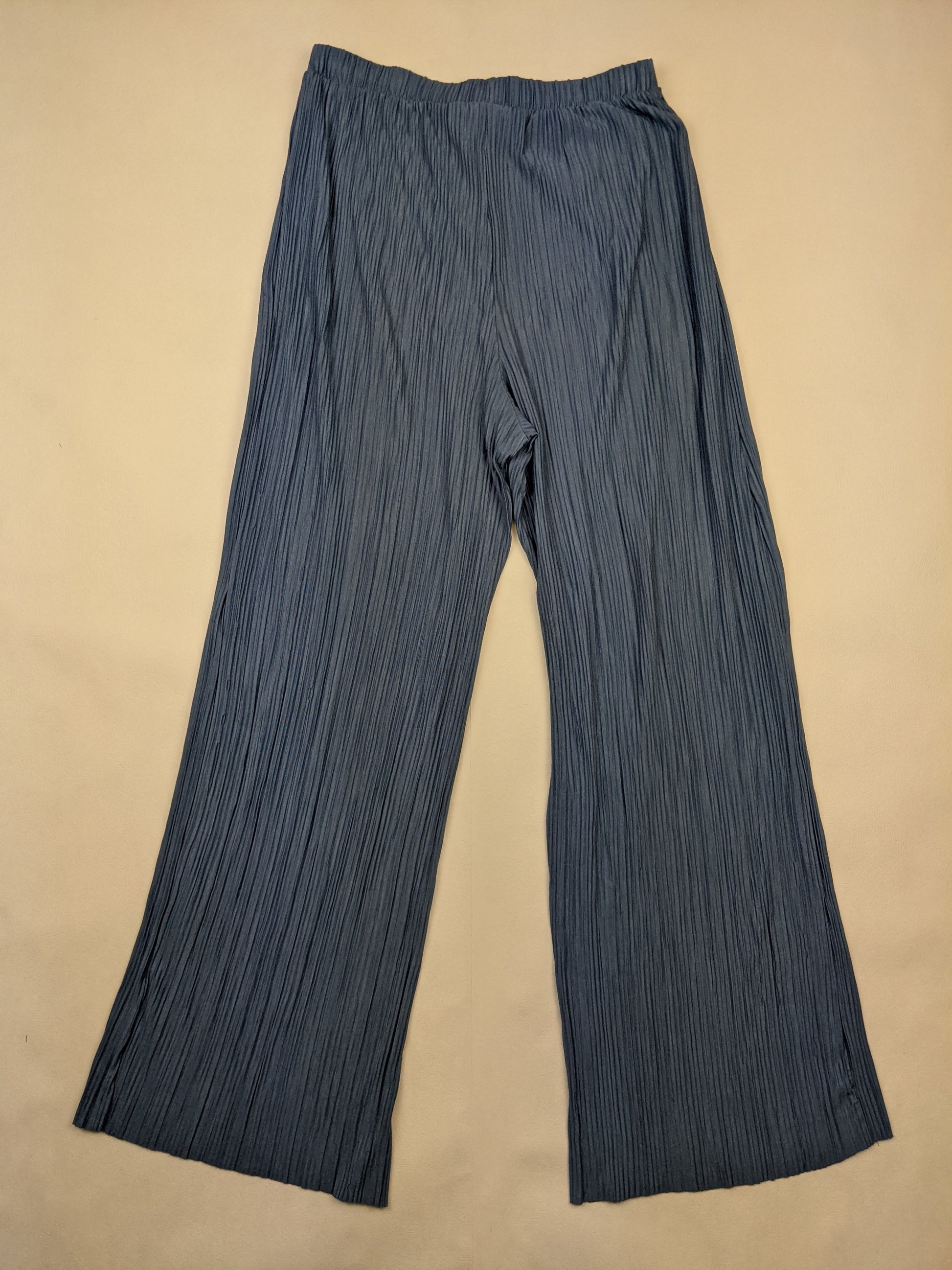 Back view of blue pleated wide-leg pants