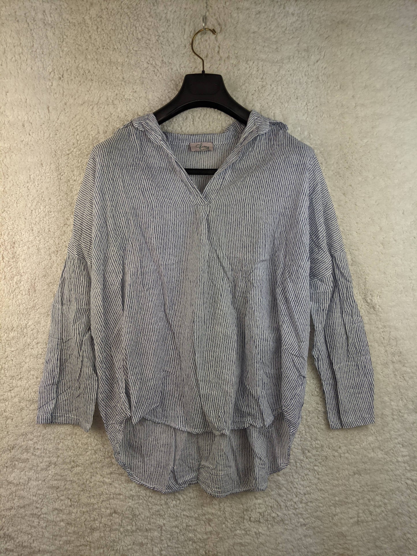 Front view of blue striped blouse